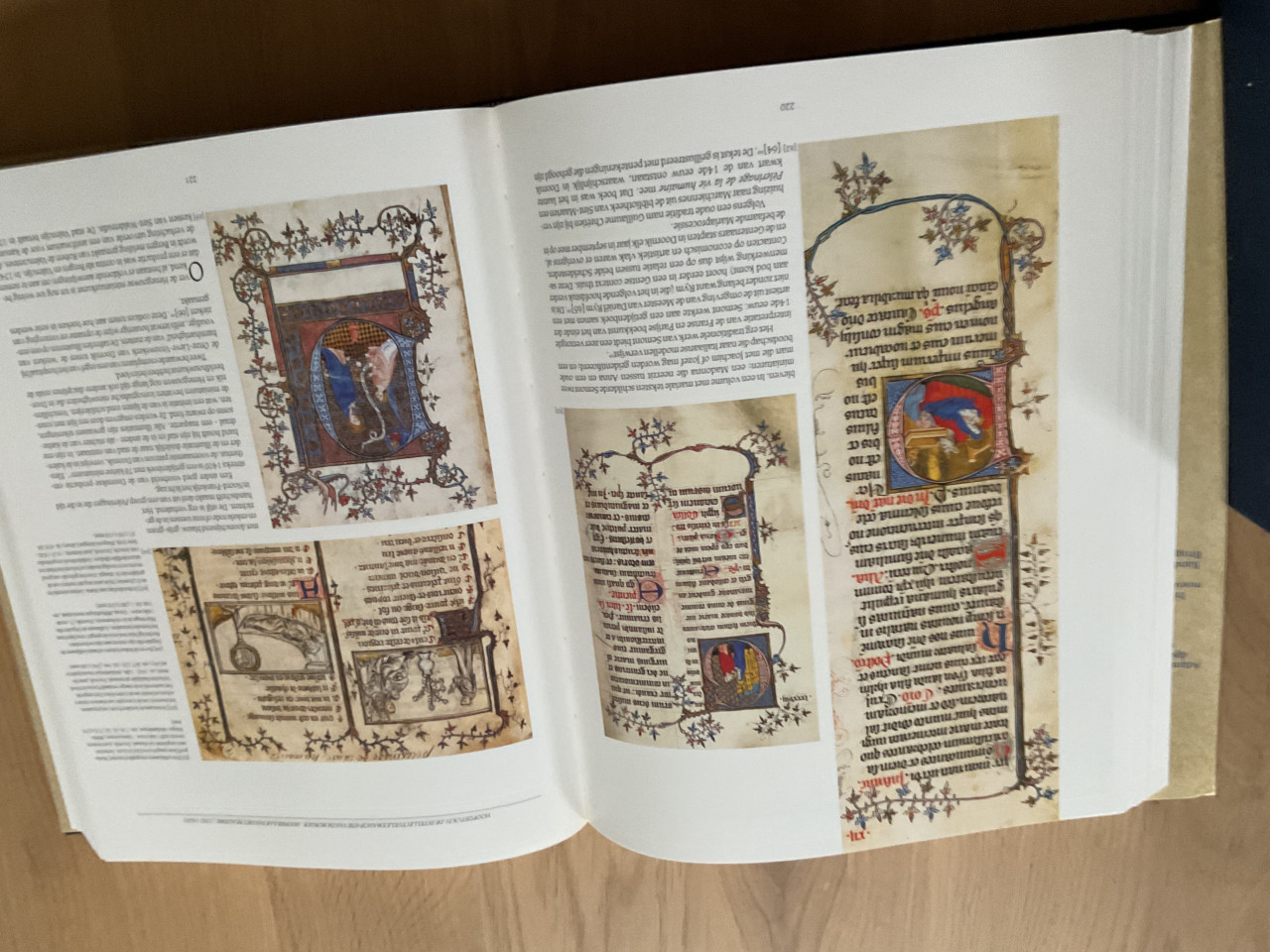 Boek VLAAMSE MINIATUREN