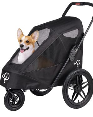Hondenfietskar