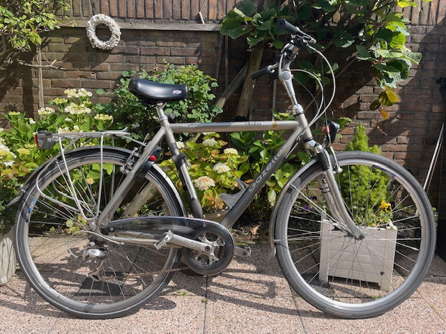 Gazelle Medeo Trekking