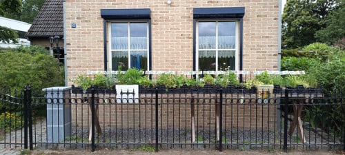 Mooie vaste planten zijn niet duur in ons plantenkraampje: €1,25 p/st.