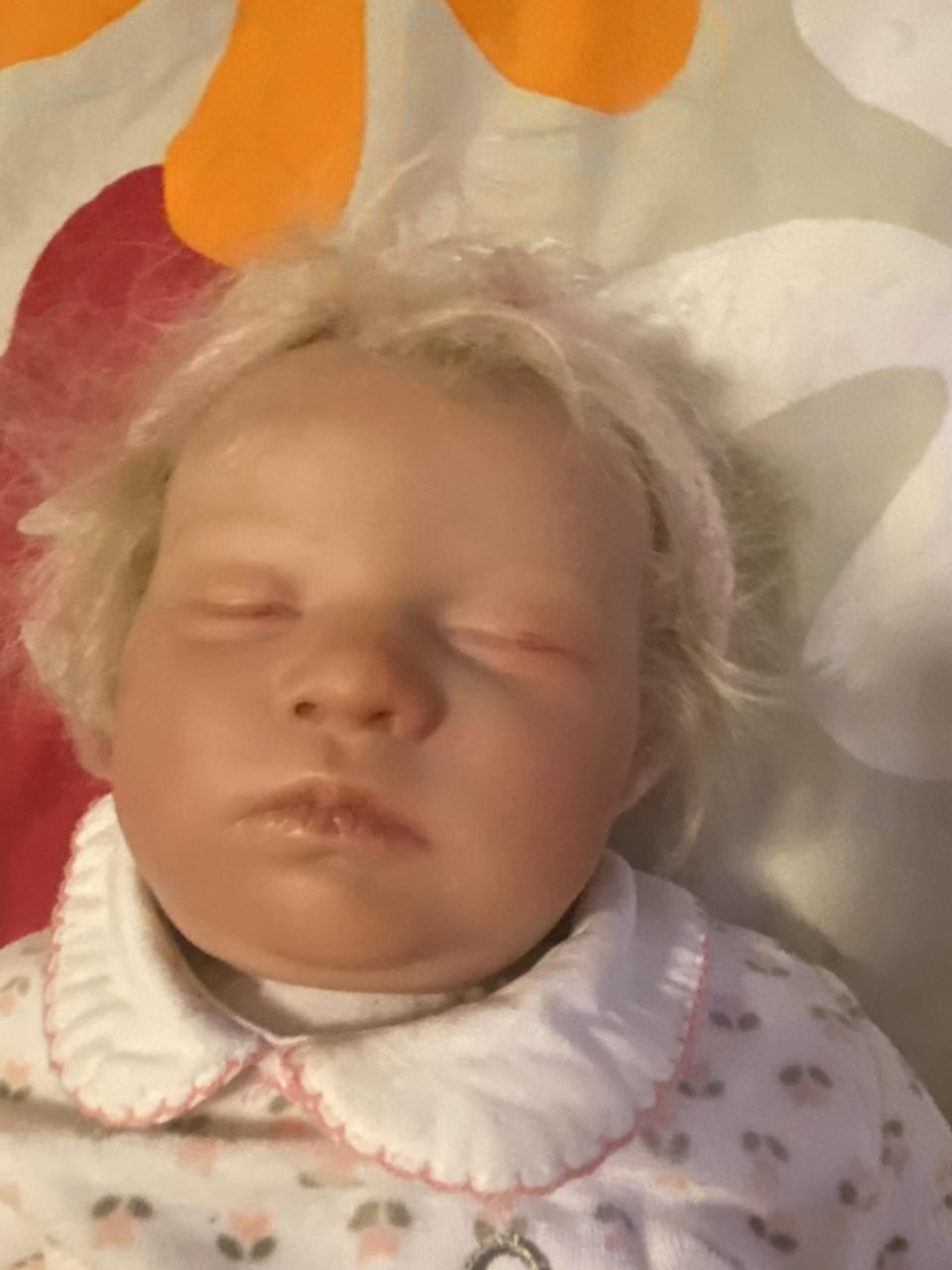 30 reborns voor 500euro