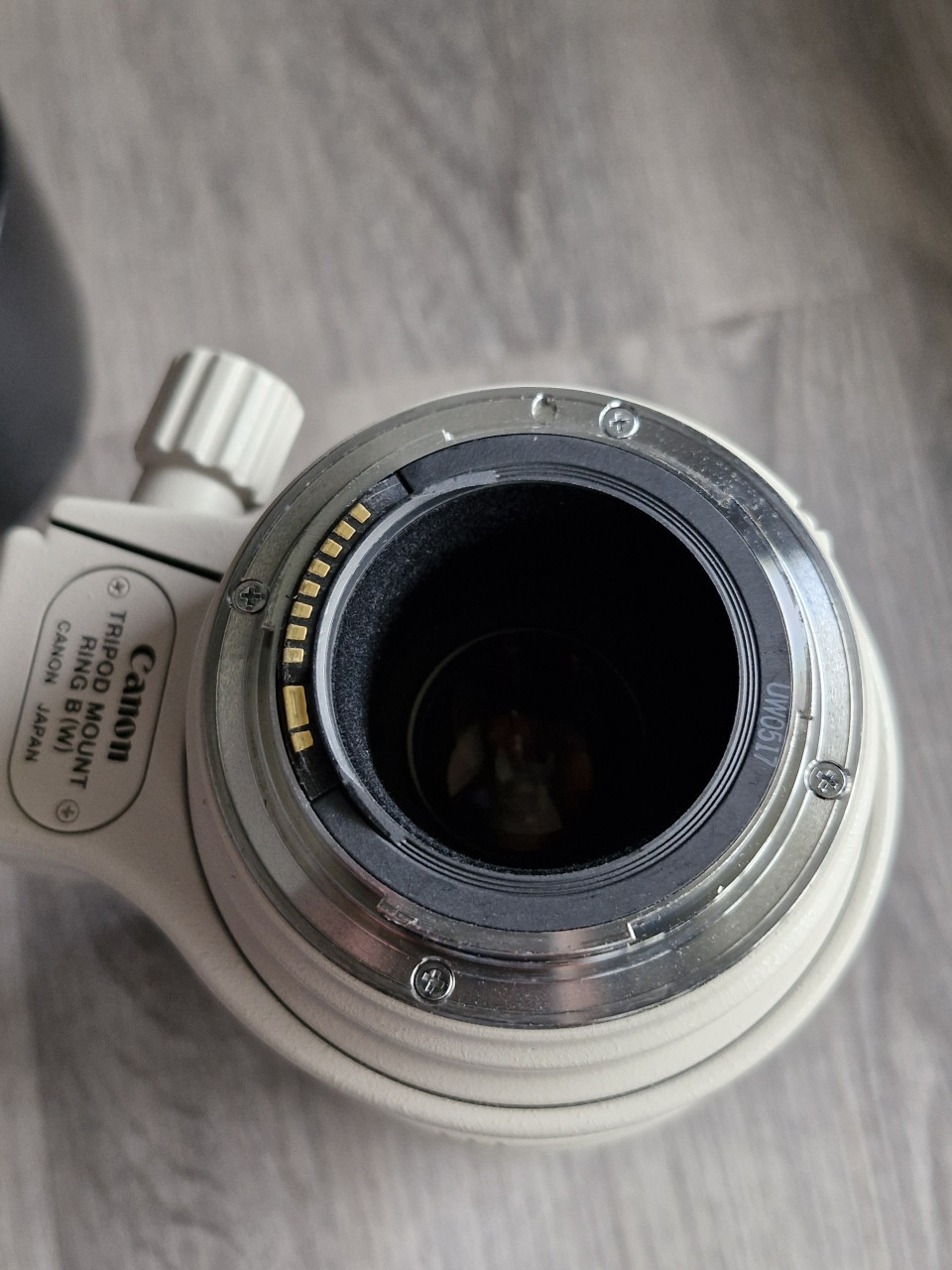 Canon EF 100-400 mm lens