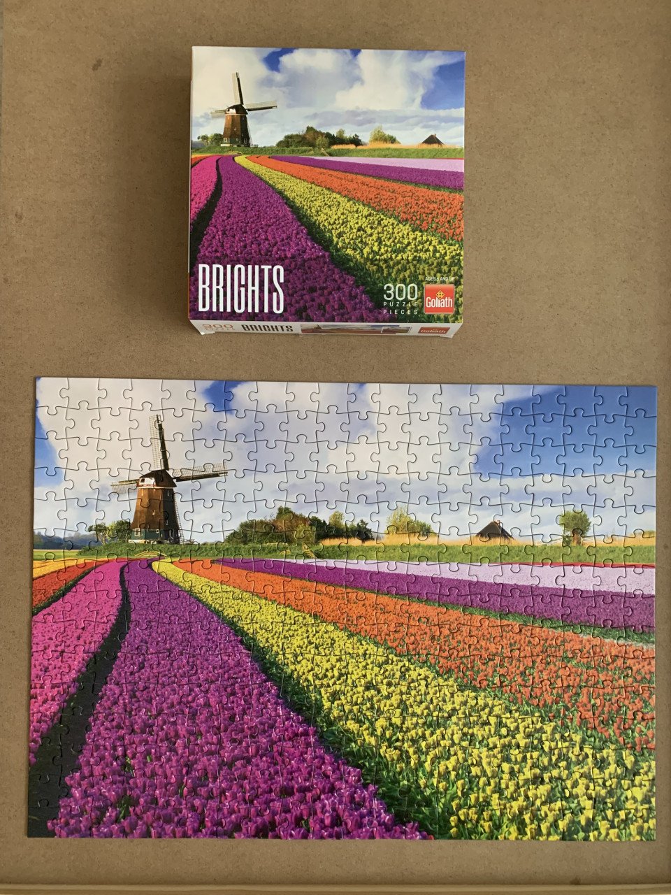 Puzzel 300 stukjes