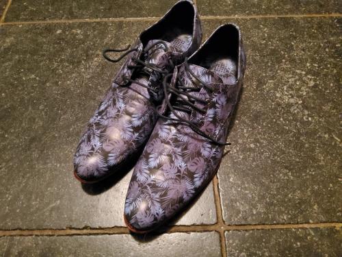 Lakschoenen