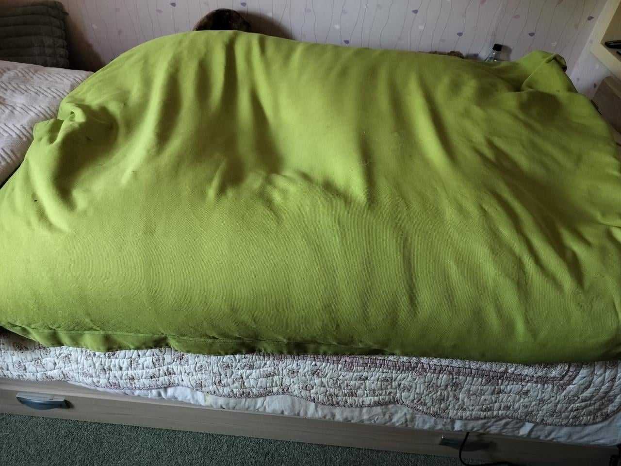 Gratis zitzak groen (geschikt voor volwassenen en kinderen)