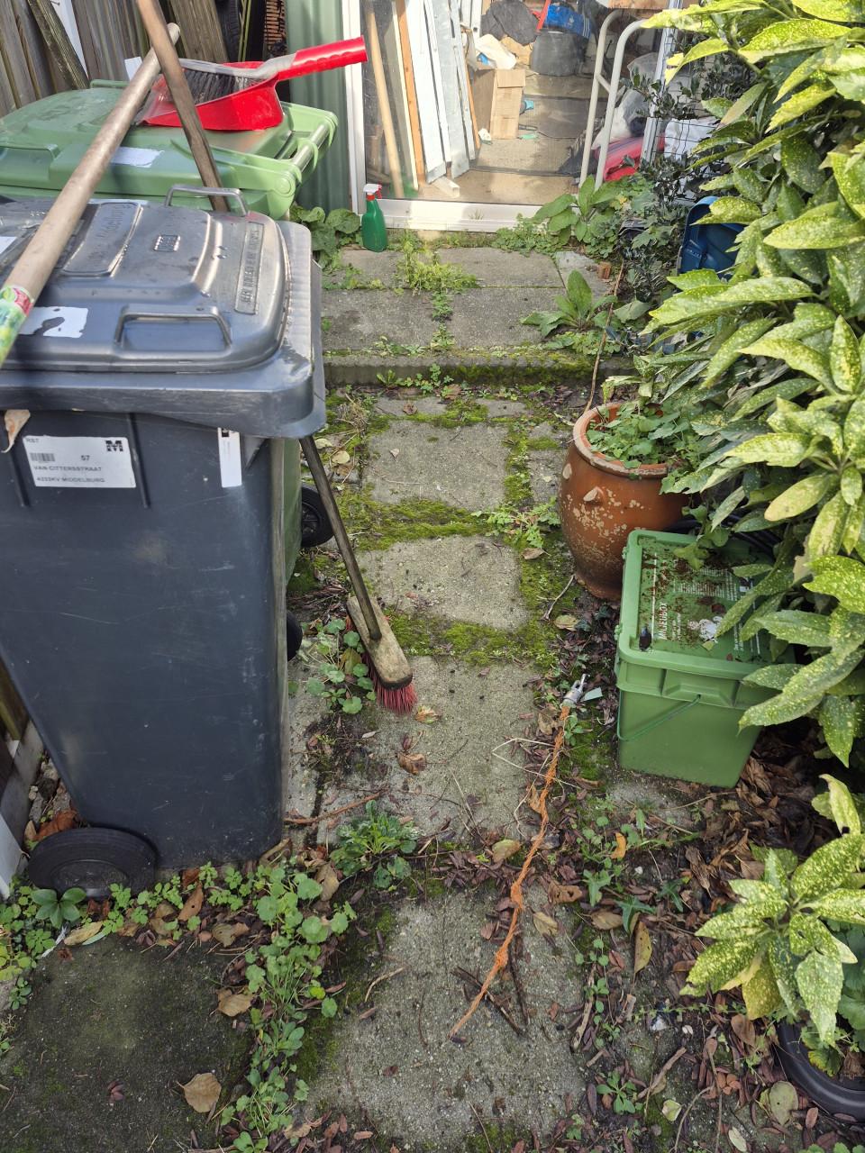 Betaalbare en Betrouwbare tuinman nodig? Beschikbaar!!