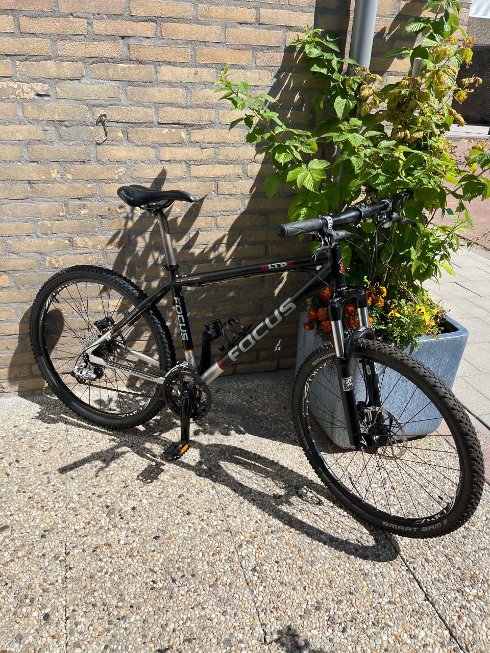 Focus Mtb