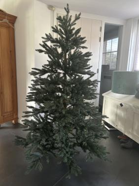Kerstboom 1.85 m.  afkomstig uit  Intratuin