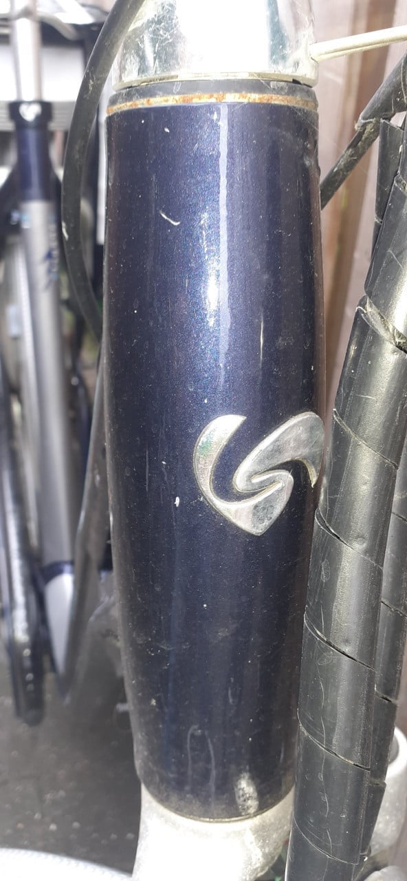 Goede ACCU  GAZELLE Elektrische fiets  Middenmotor * STORING *