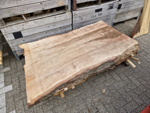 Boomstam tafelbladen