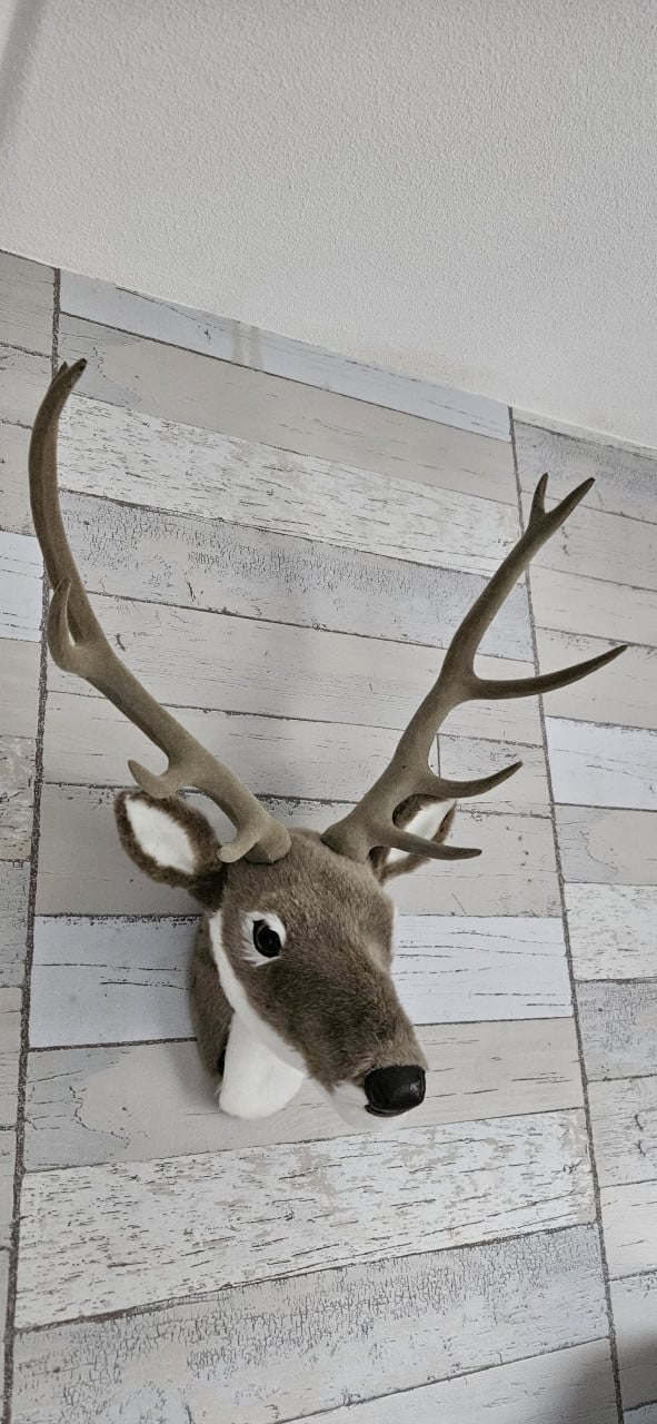 Hertenkop, decoratie voor aan de muur
