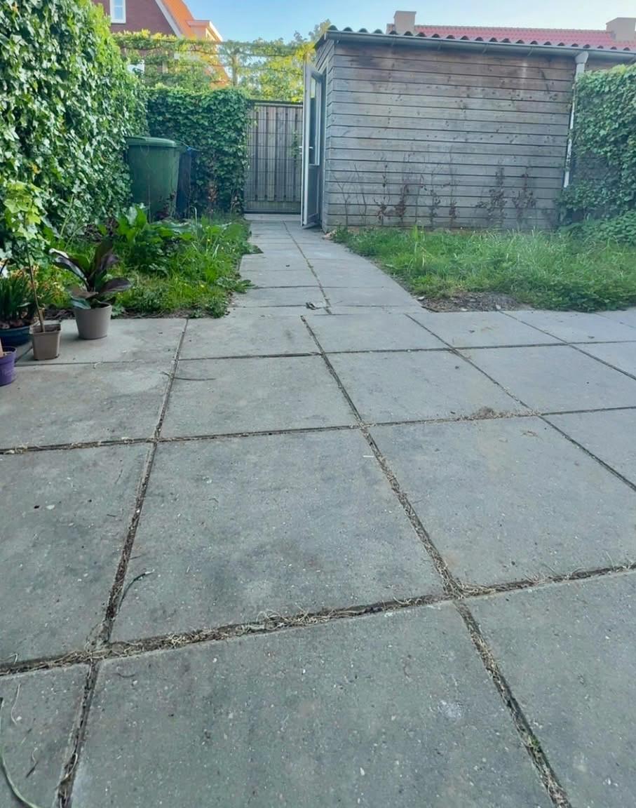 Gratis afhalen ca 30m2 betontegels