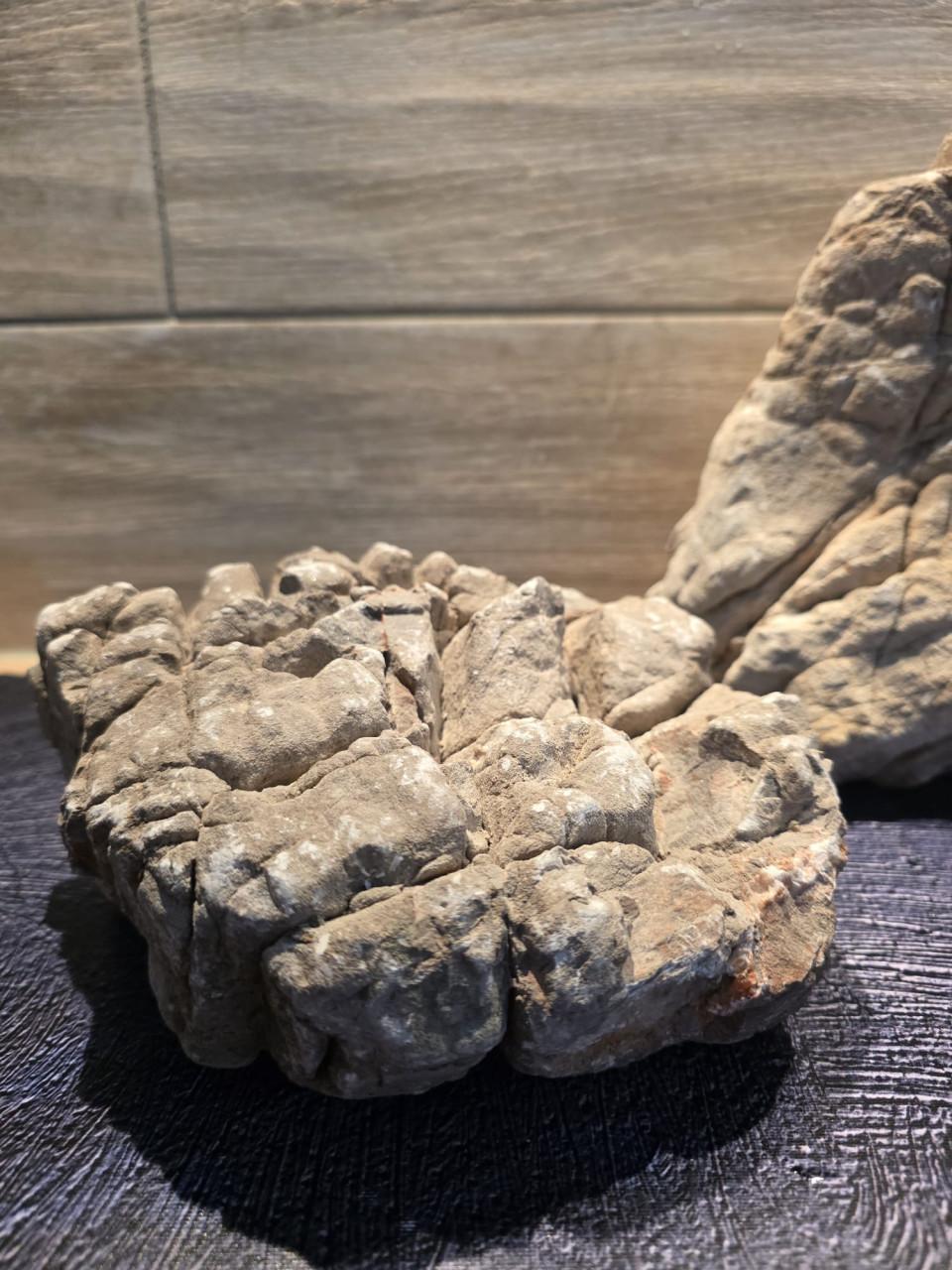 Millennium Stone, WIO. Aquascape steen, ongebruikt