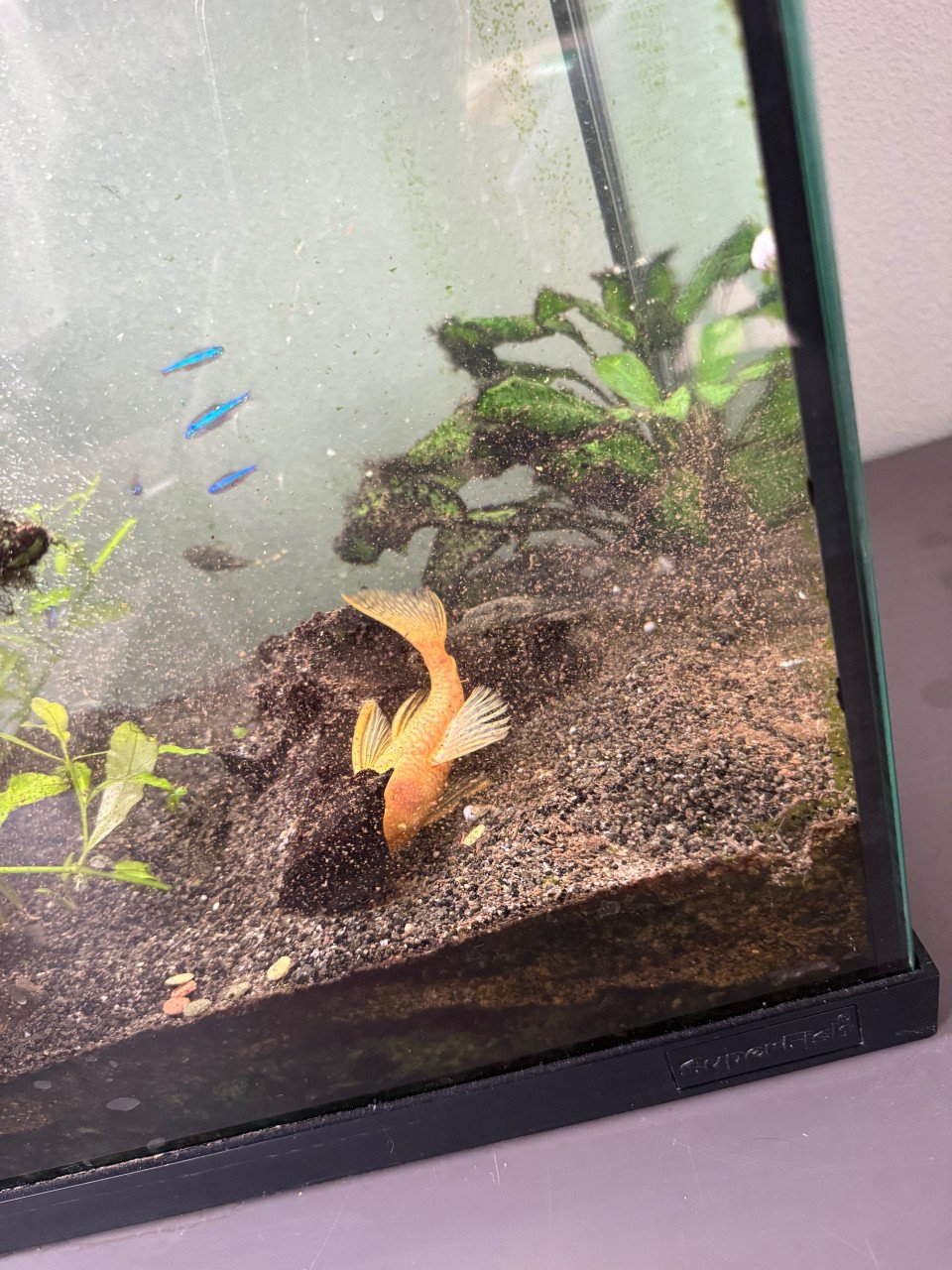 Aquarium