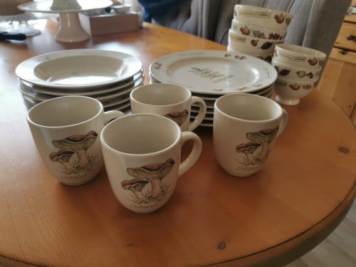 Servies van Jet