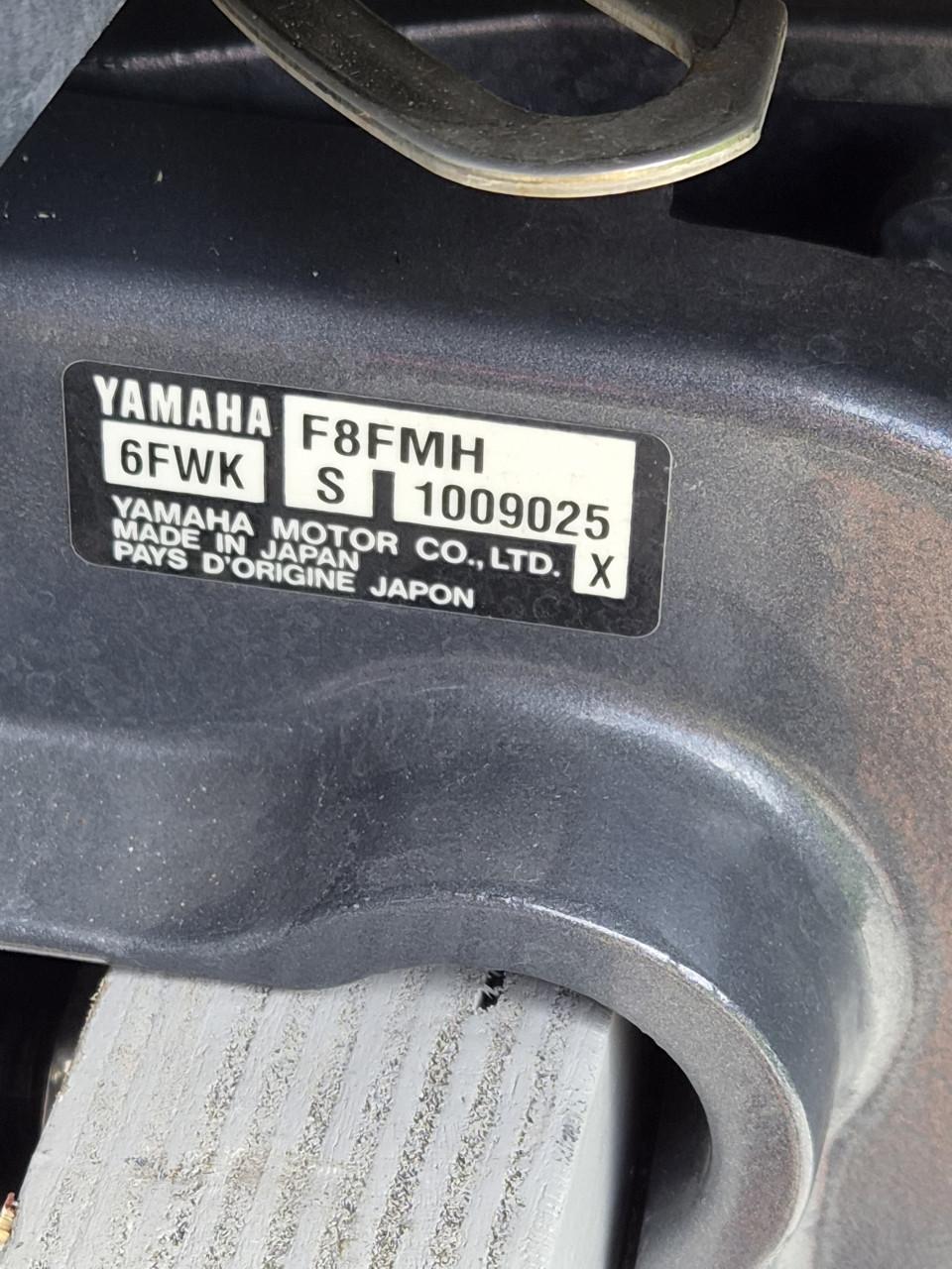 Yam 310 sport en yamaha 8 pk uit 2021