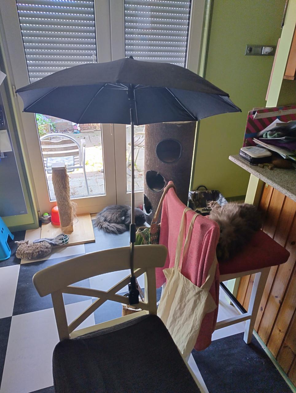 Parasol kinderwagen