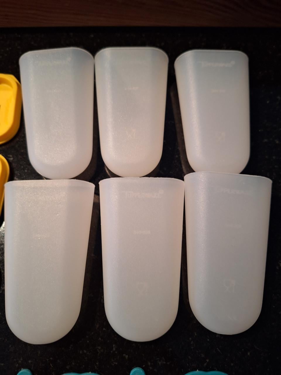 Tupperware ijslolly set