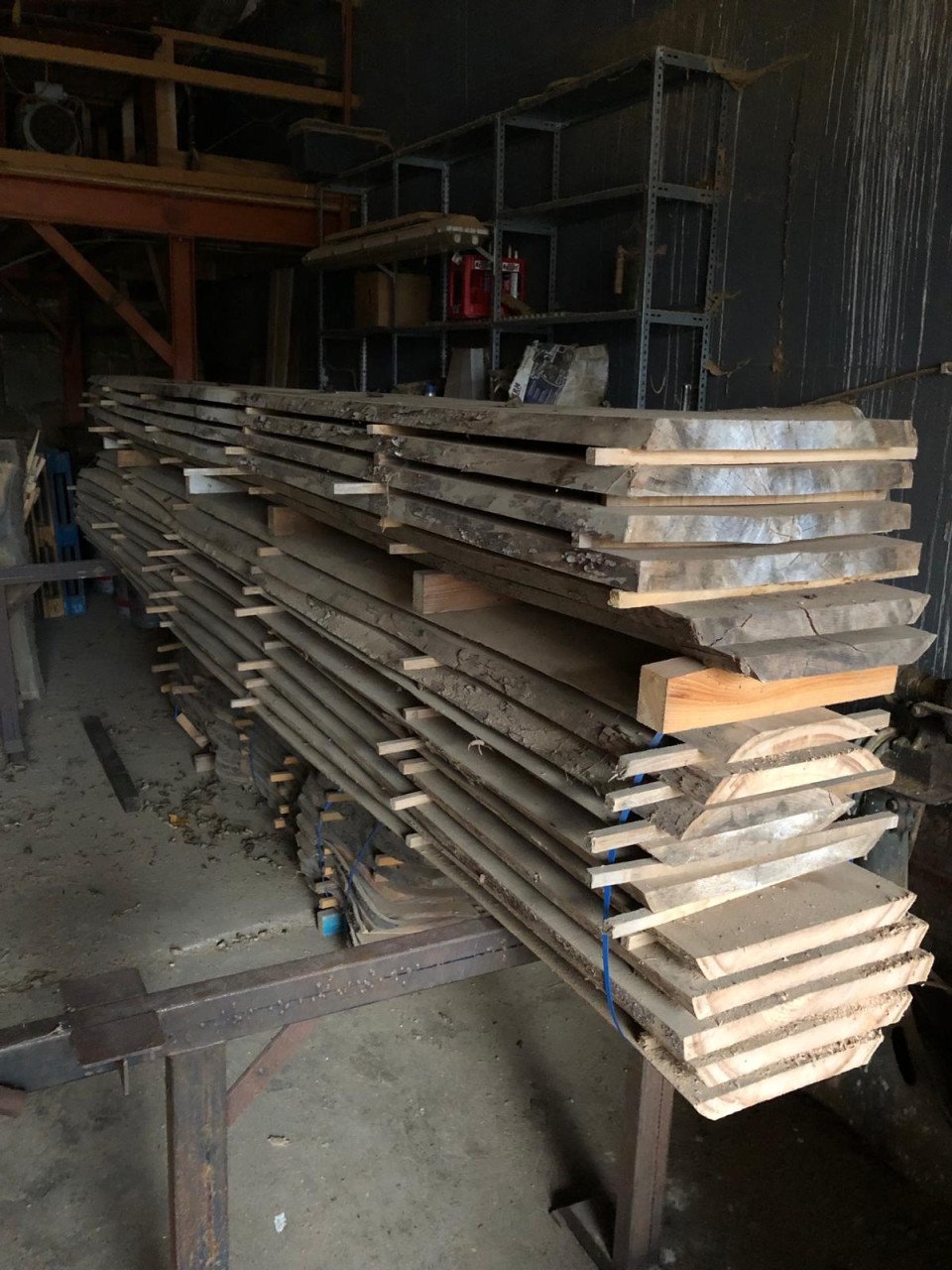 Zeeuwse Iep / Olm stam, hout voor meubels en interieur