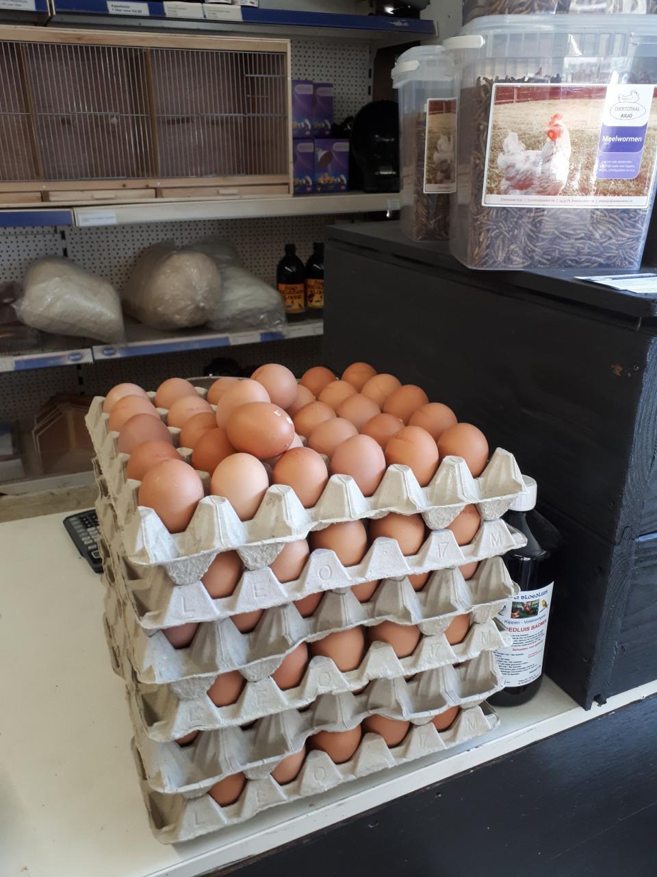 Eieren.......