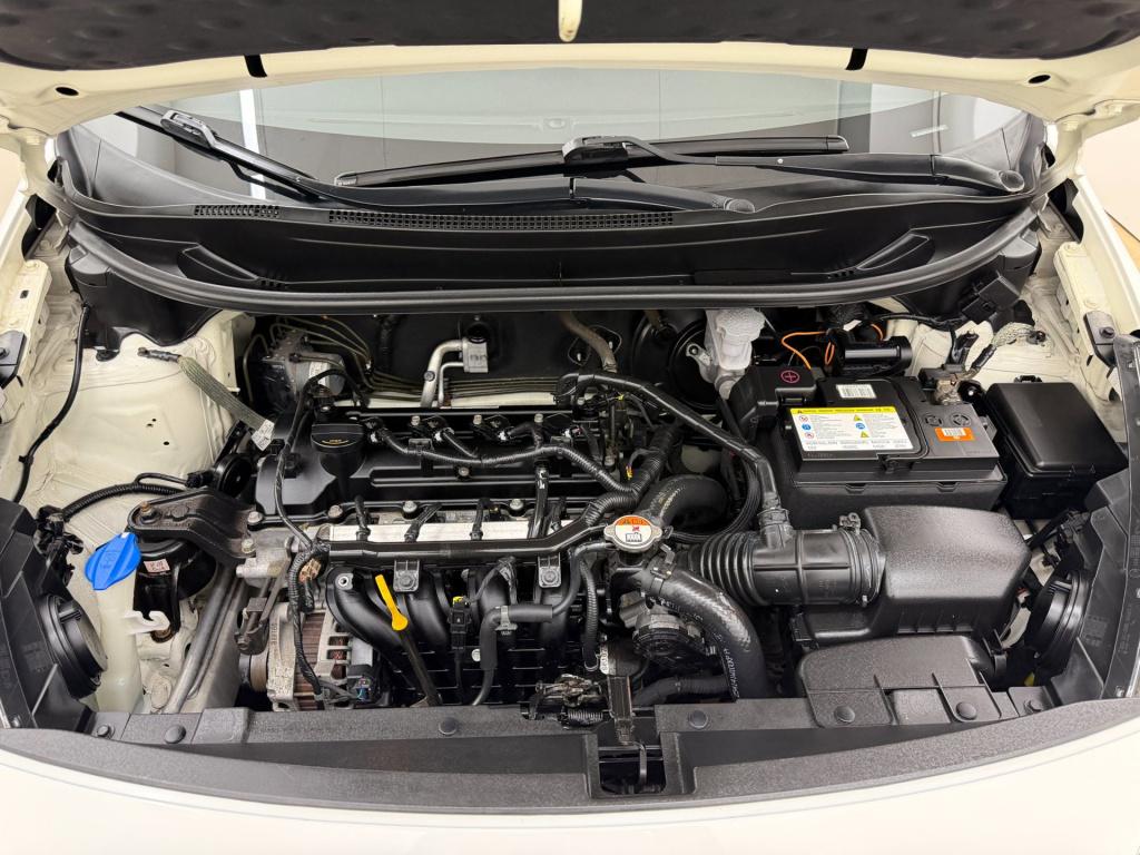 Kia Rio occasion 1.2 cvvt plus pack | wit | tweedehands kia rio | airco | u