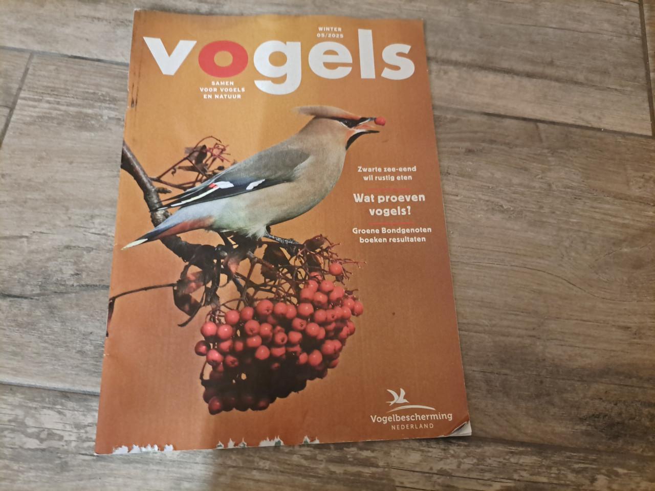 1x Vogels