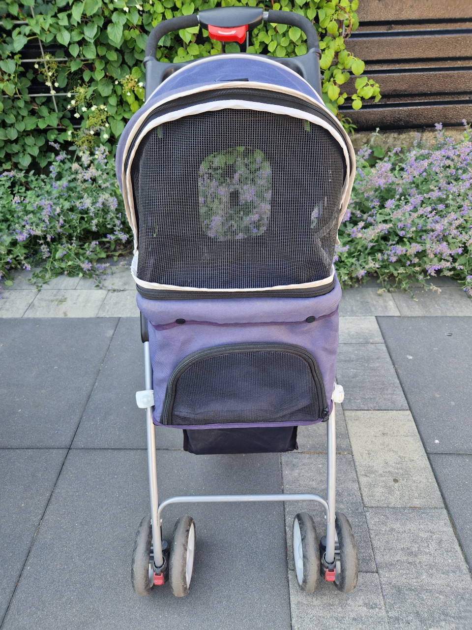 Hondenwandelwagen