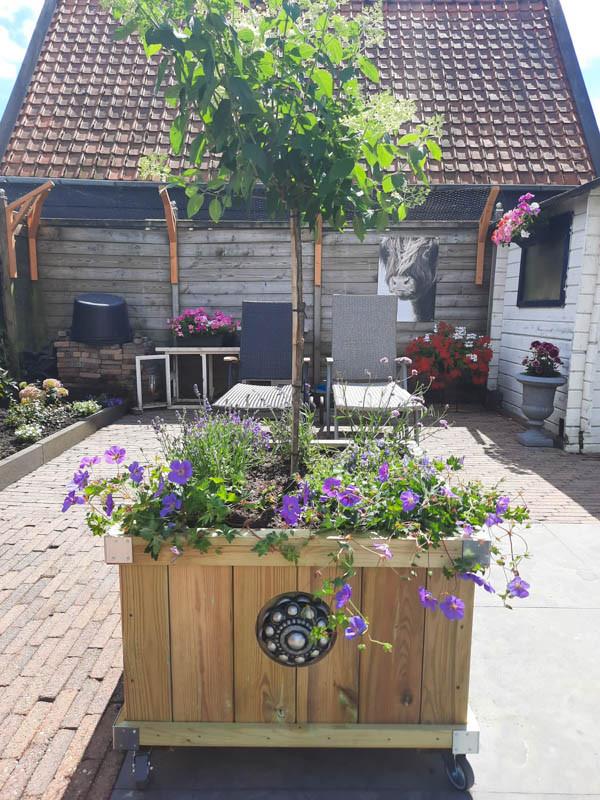 Zeeuwse knop bloembakken projecten ter inspiraties L80 x B83 x H60
