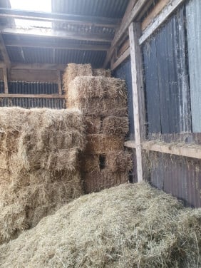 Weidehooi natuurhooi