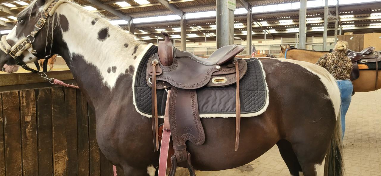 Boomloos westernzadel