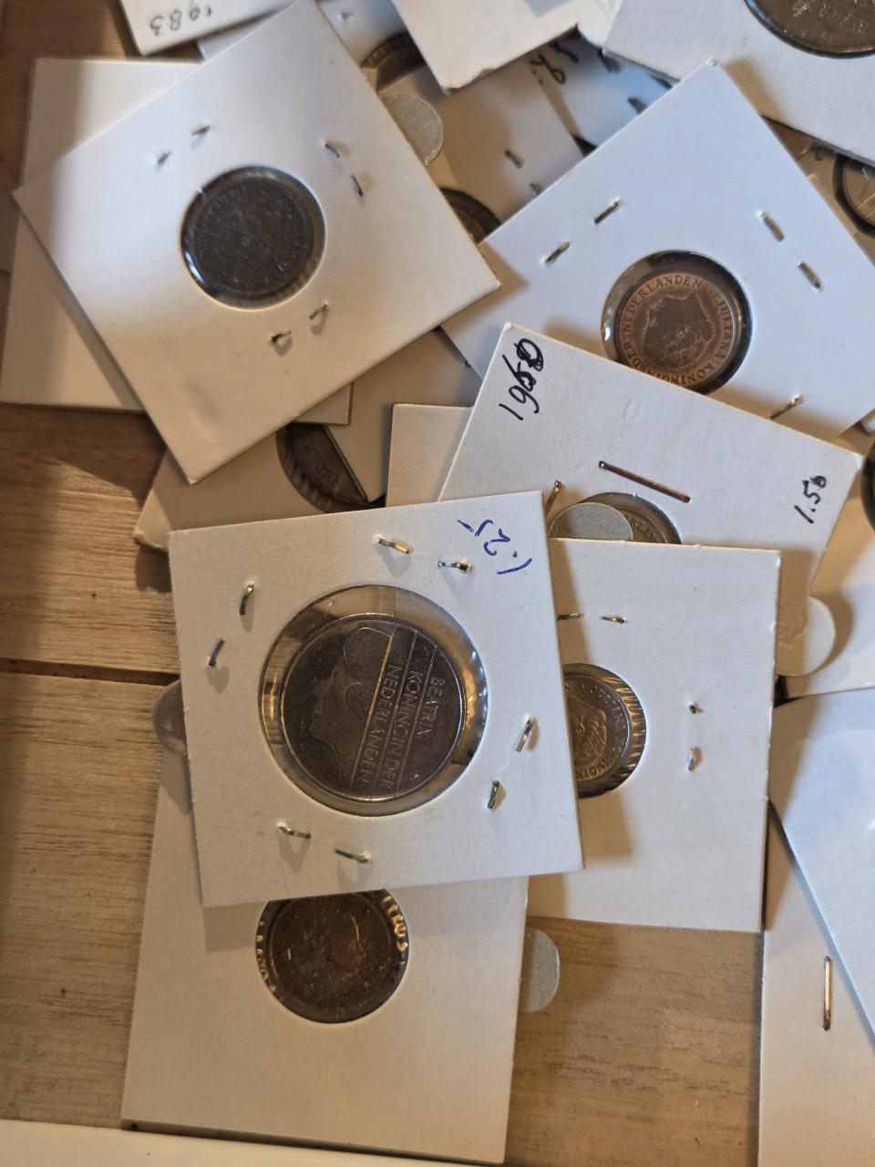 1,3 kilo munten