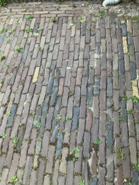 IJsselsteentjes / Waalsteentjes 150 m2