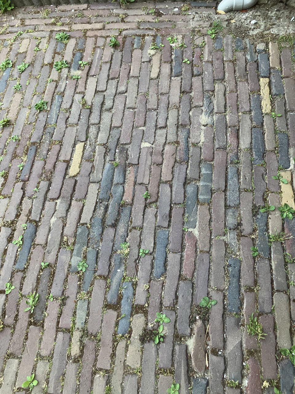 IJsselsteentjes / Waalsteentjes 150 m2