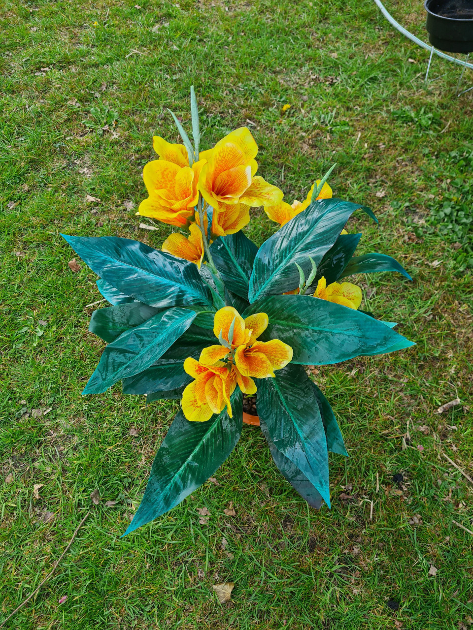 Nep planten