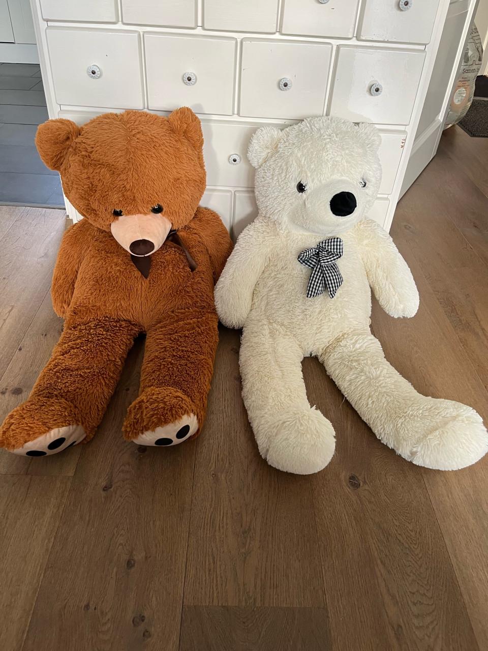 Grote knuffelberen - Bruin en wit
