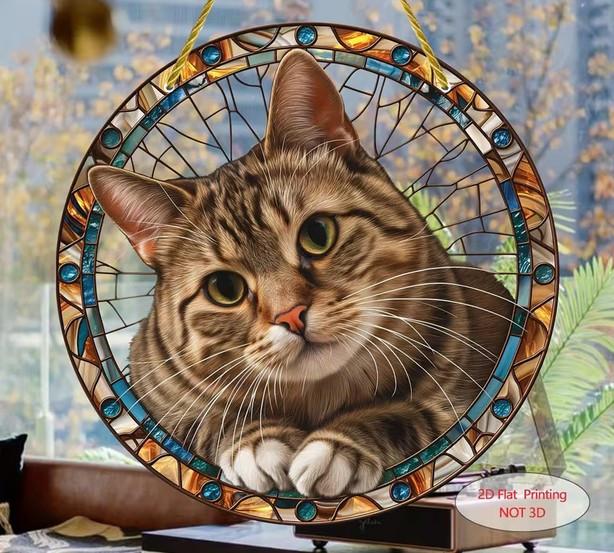 Raamhanger kitten - poes