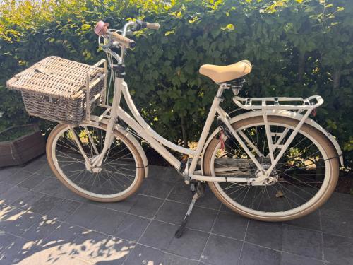Batavus Diva damesfiets (Framemaat 56)