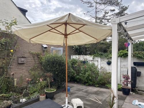Parasol