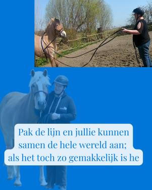Hulp voor je paard of voor jou.....ik kijk naar jullie samen