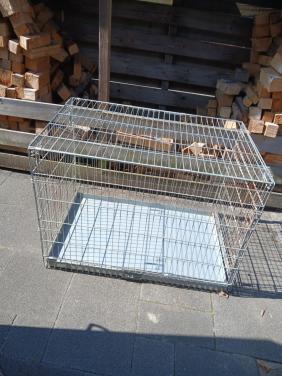 Grote honden bench