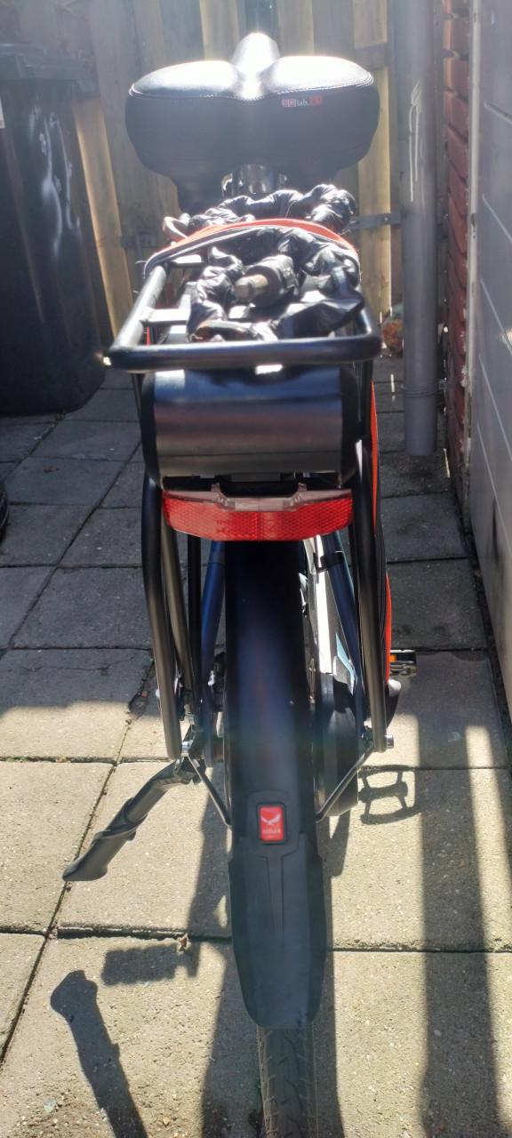 Stella Livorno steps