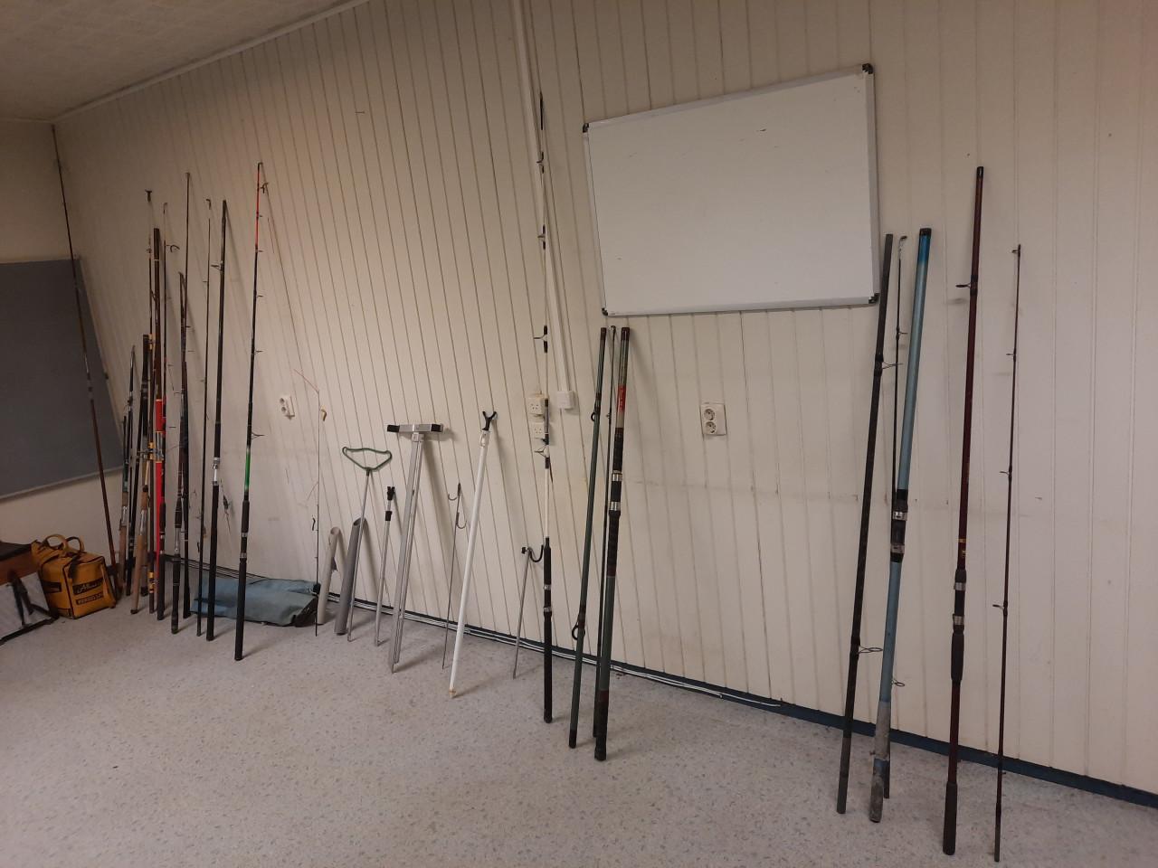 Hengels en molens strandhengel zeehengel boothengel karperhengel vissen