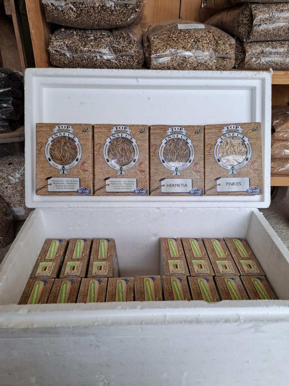 Verse levende meelwormen en buffalo