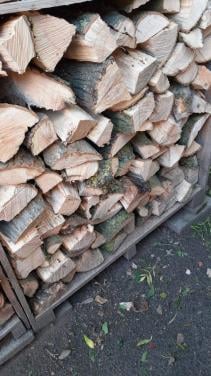Essen hout.