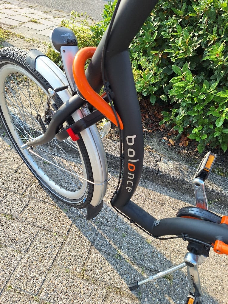 Van Raam Balance showroommodel