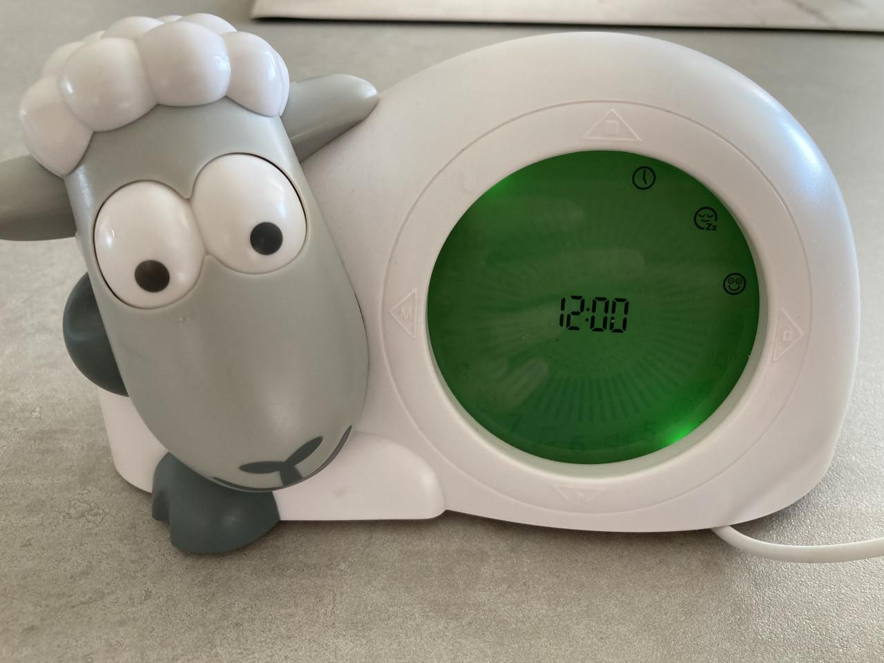 Zazu slaaptrainer Sam het schaap