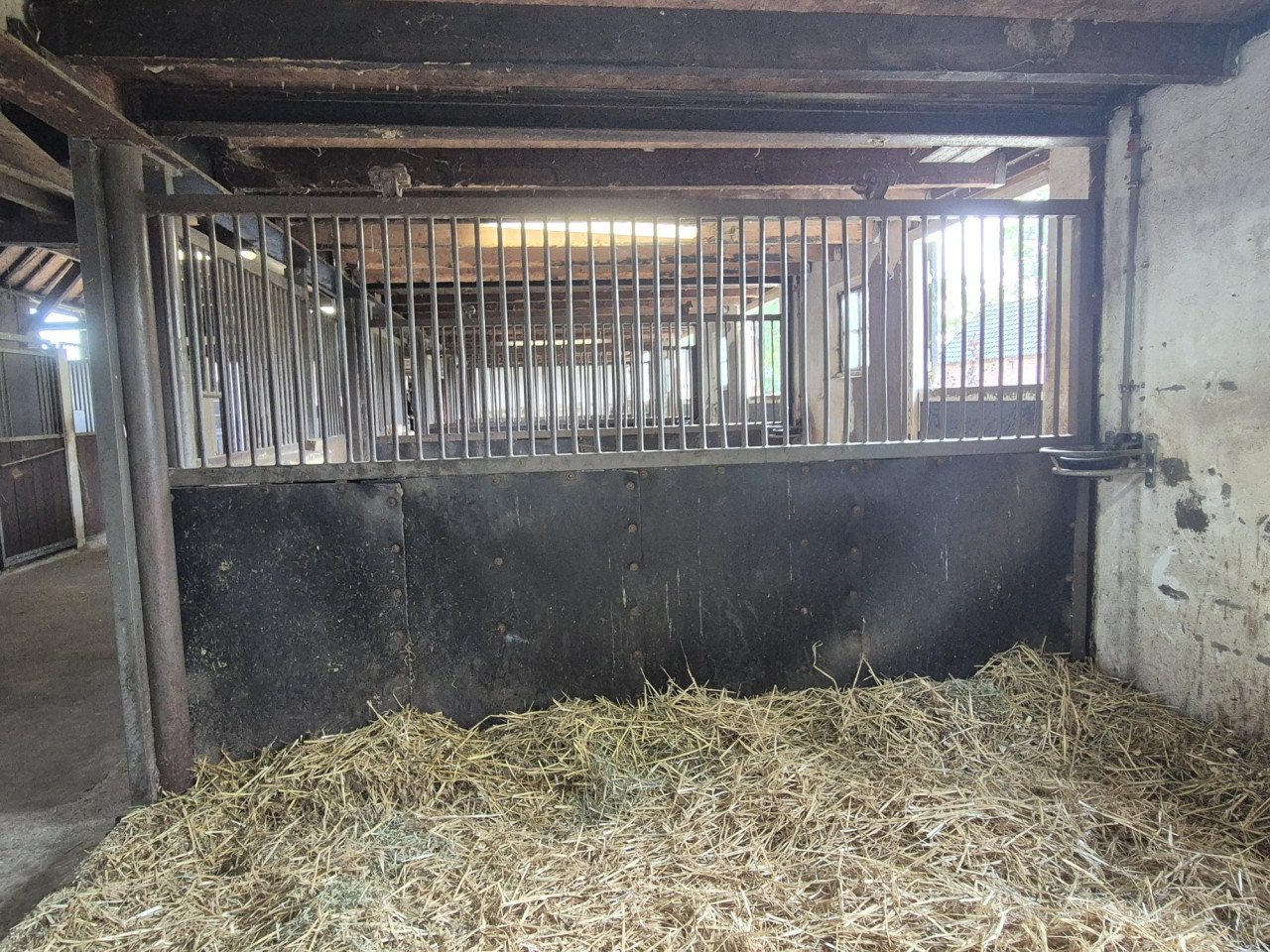 Paardenstal - staldeuren en tussenwanden te koop