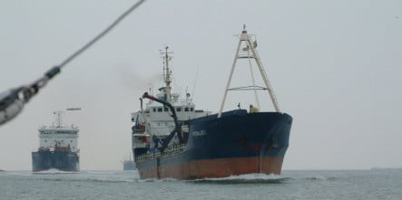 In  Arnemuiden schilderijen  olie verf op doek  Jac Caljouw