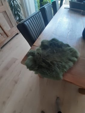 Bontje kleur groen geen koeriersdiensten
