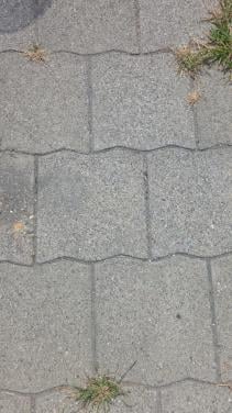GRATIS AF TE HALEN: Ca. 16 m² Golftegels / Betontegels (30x30x4 cm) + halve